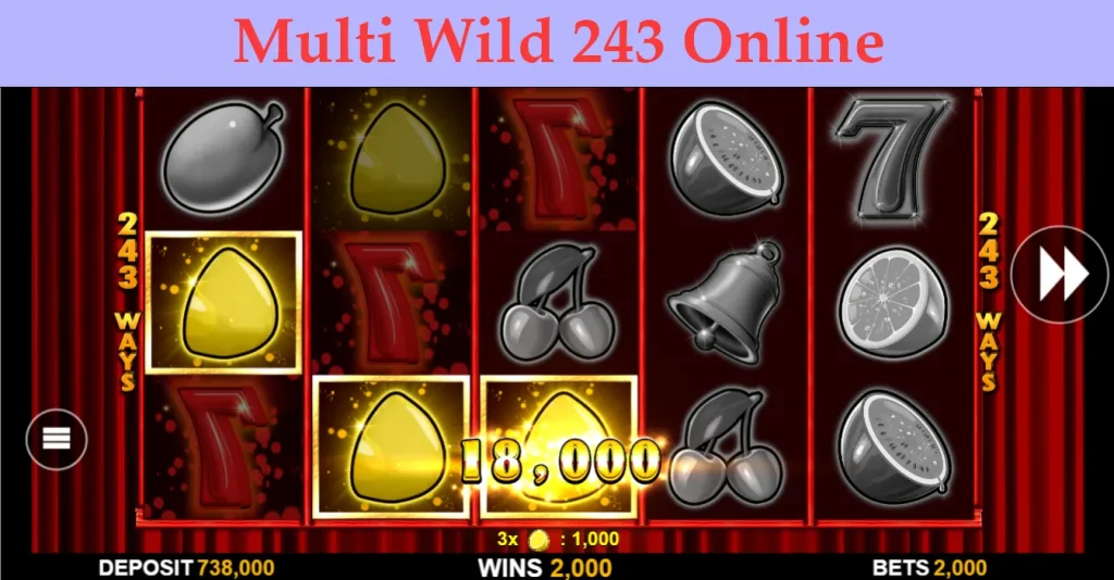 multi wild 243 online