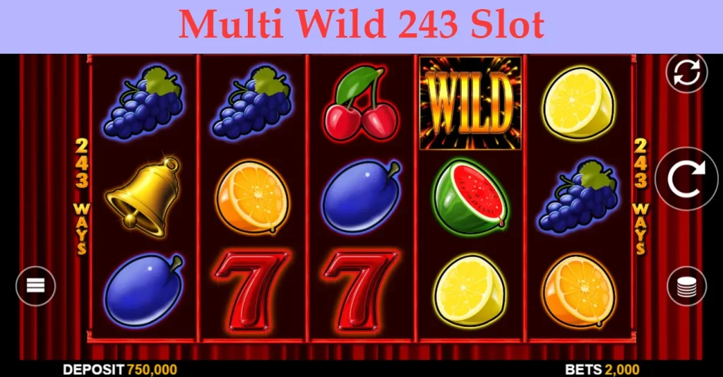 multi wild 243 slot