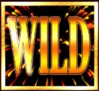 Wild Symbol